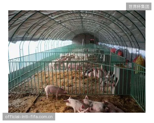 体育馆的BIM系统几时才能真正读取并利用UHMWPE导轨蠕变校准产生的动态健康数据? 体育馆的BIM系统几时才能真正读取并利用UHMWPE导轨蠕变校准产生的动态健康数据?